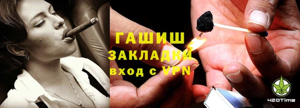 шишки Абаза