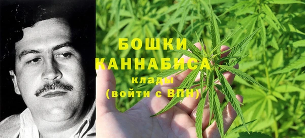 шишки Абаза