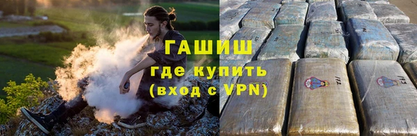 шишки Абаза