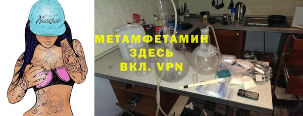 шишки Абаза