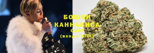 шишки Абаза