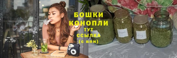 шишки Абаза